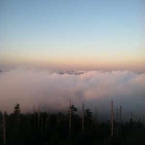 Meet your Posher, Ron